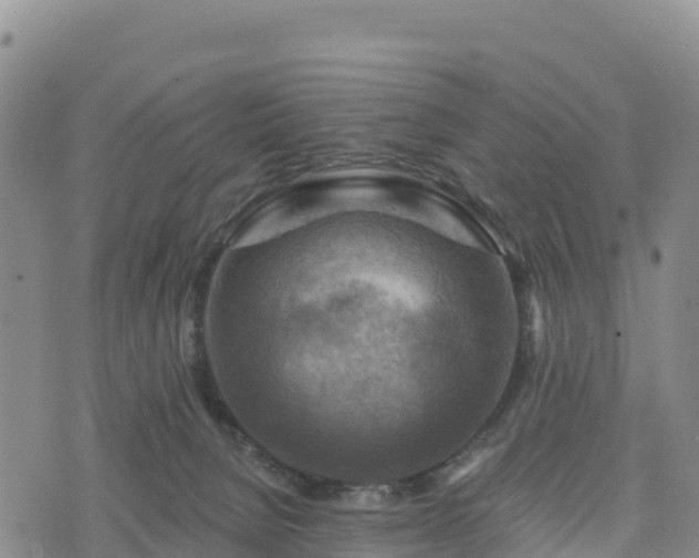 X0000074340080200609011638