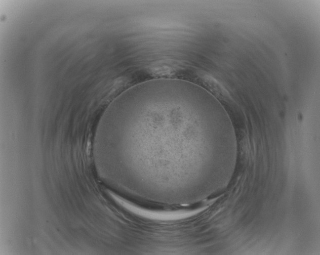 X0000074340081200609011639