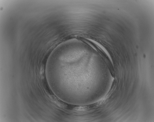 X0000074340082200609011639