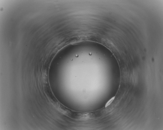 X0000074340083200609011639