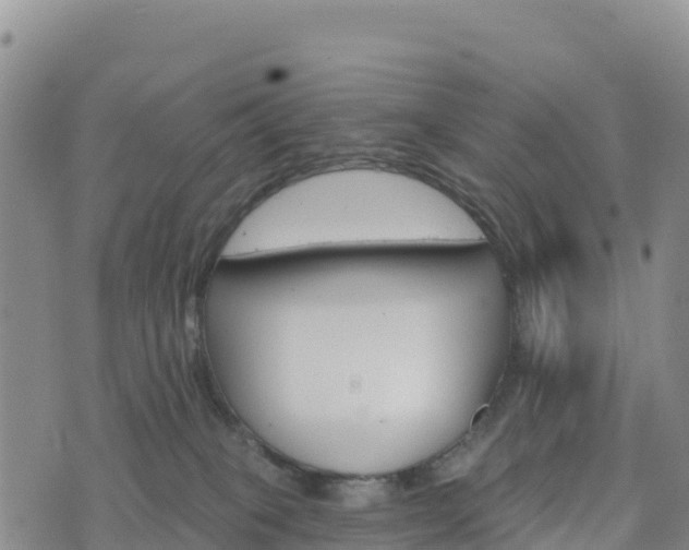 X0000074340085200609011639