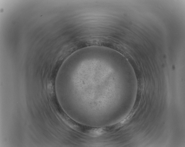 X0000074340086200609011639