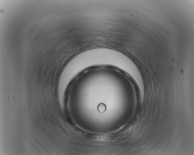 X0000074340088200609011639