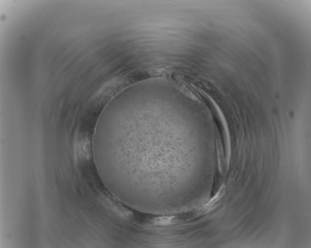 X0000074340090200609011639