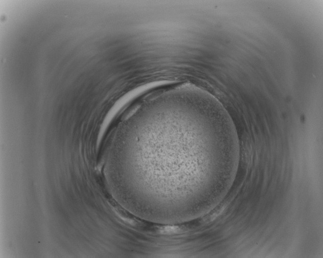 X0000074340091200609011639