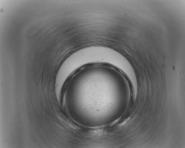 X0000074340092200609011639