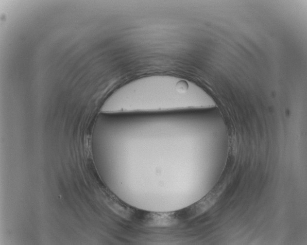 X0000074340093200609011639