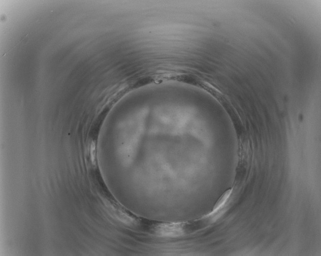 X0000074340094200609011639