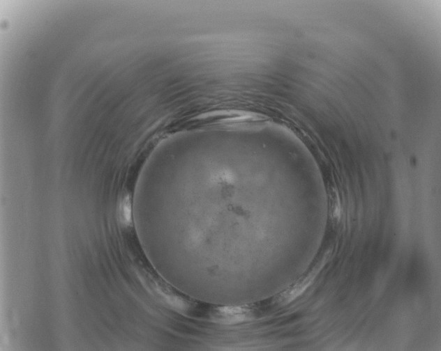 X0000074340095200609011639