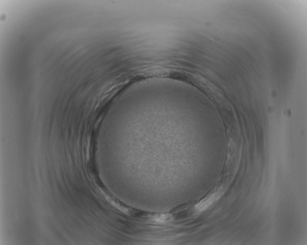 X0000074340096200609011639