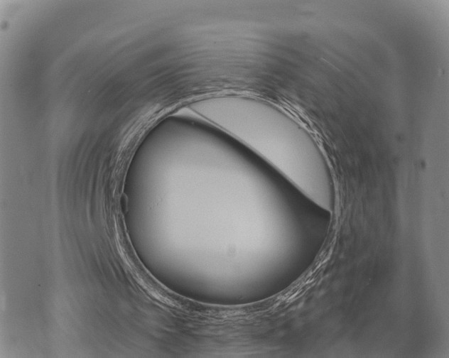 X0000074340097200609011638