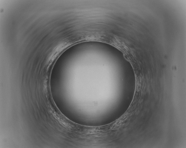 X0000074340098200609011638