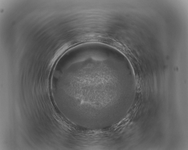 X0000074340099200609011638