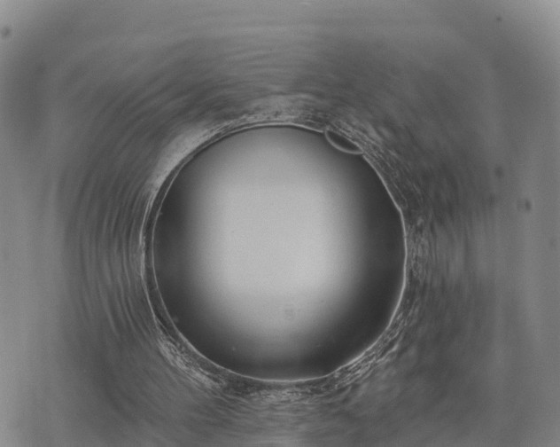 X0000074340100200609011638