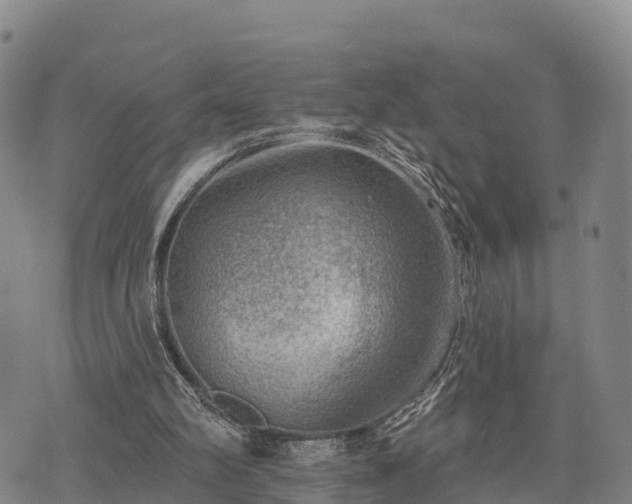 X0000074340102200609011638