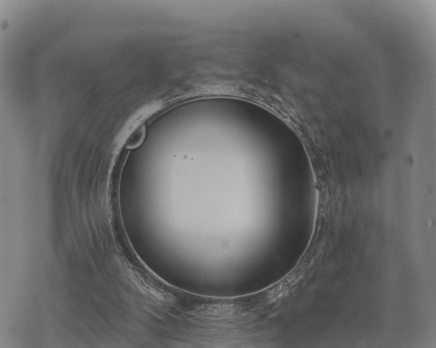 X0000074340104200609011638