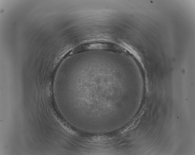 X0000074340105200609011638