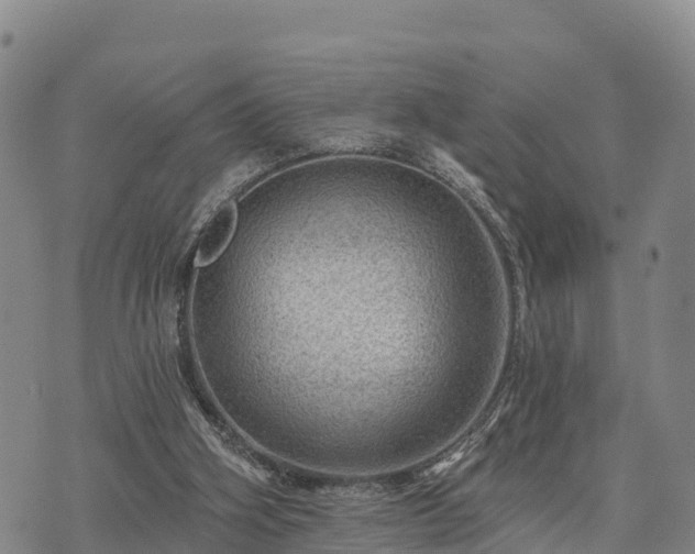 X0000074340106200609011638