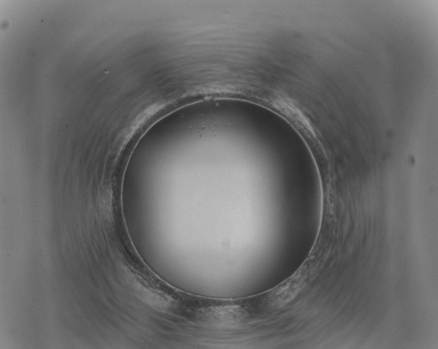 X0000074340108200609011638