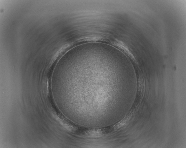 X0000074340110200609011638