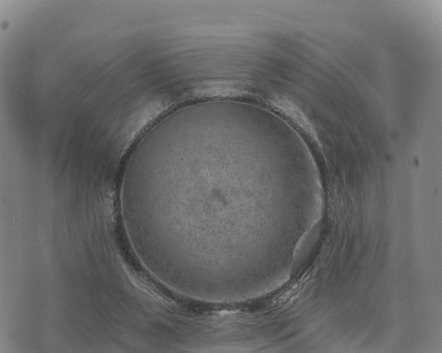 X0000074340111200609011638