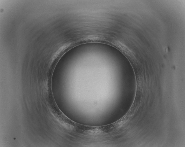 X0000074340112200609011638