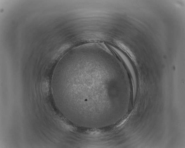 X0000074340113200609011638