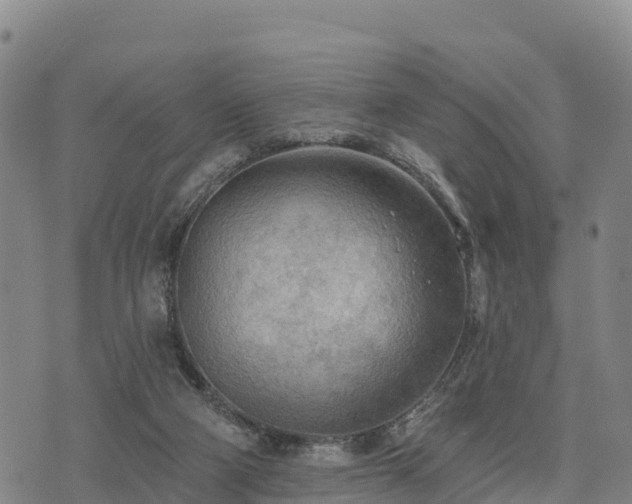 X0000074340114200609011638