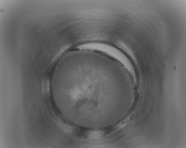 X0000074340115200609011638