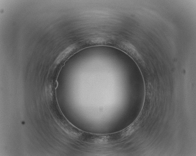 X0000074340116200609011638