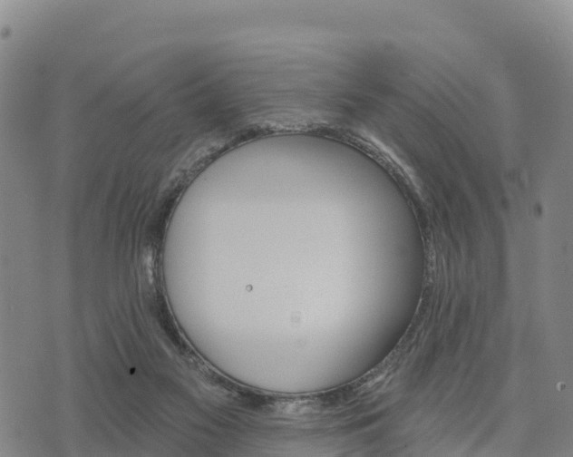 X0000074340117200609011638