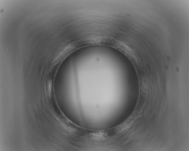 X0000074340118200609011638