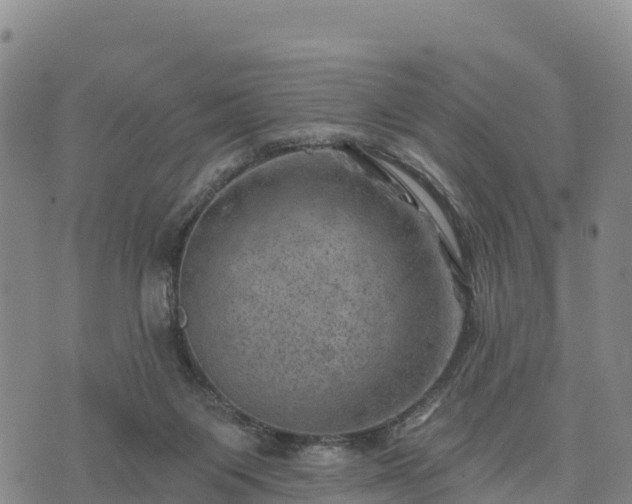 X0000074340119200609011638