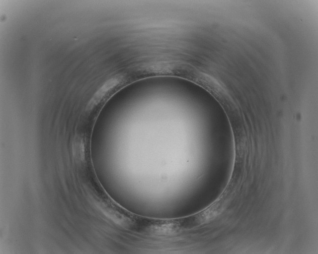 X0000074340120200609011638