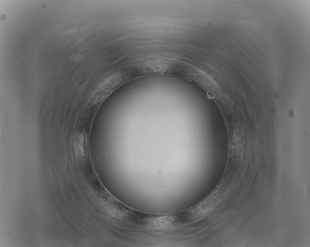 X0000074340122200609011638