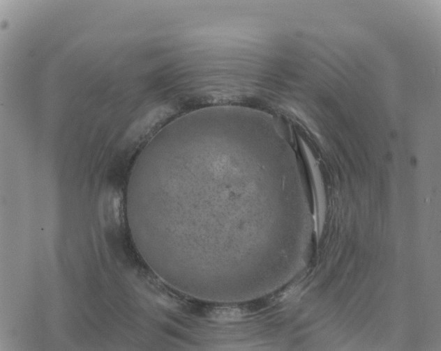 X0000074340123200609011638