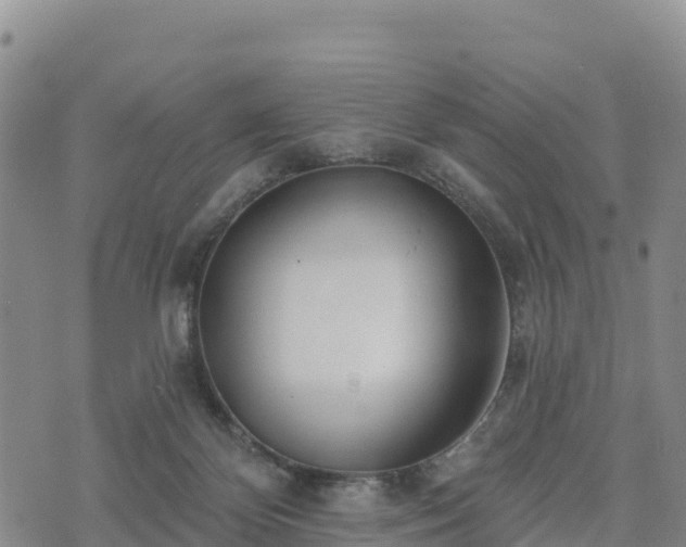 X0000074340124200609011638