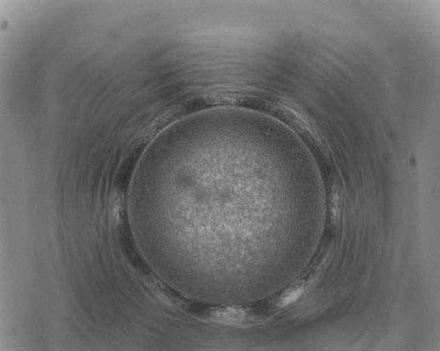 X0000074340125200609011638