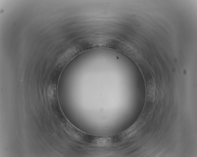 X0000074340126200609011638