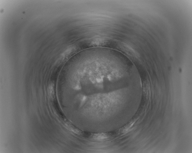 X0000074340127200609011637