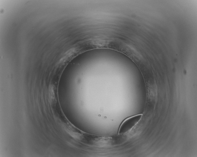 X0000074340128200609011637