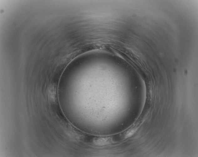 X0000074340129200609011637