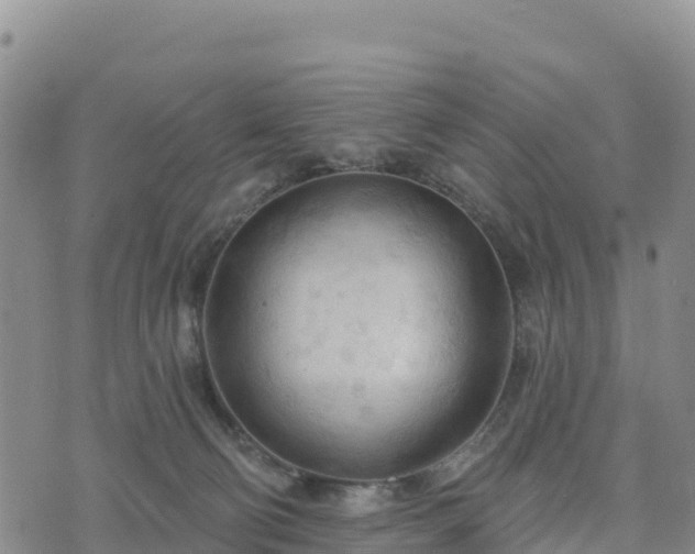 X0000074340130200609011637