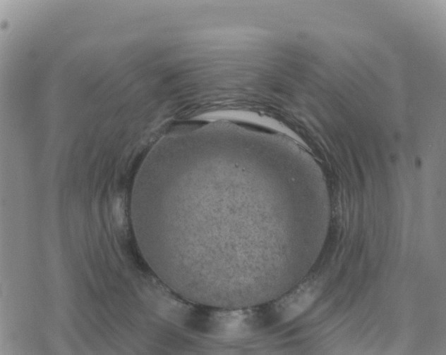 X0000074340131200609011637