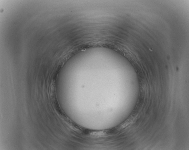 X0000074340133200609011637