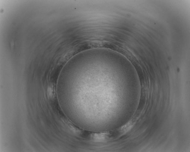 X0000074340134200609011637