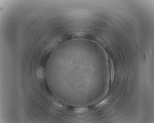 X0000074340135200609011637