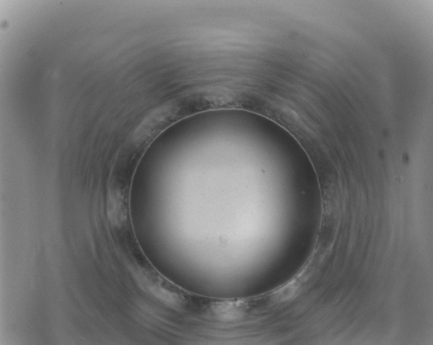 X0000074340136200609011637