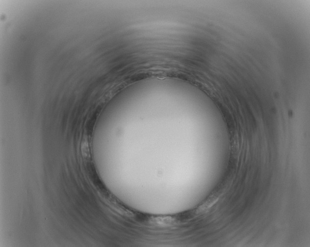 X0000074340137200609011637