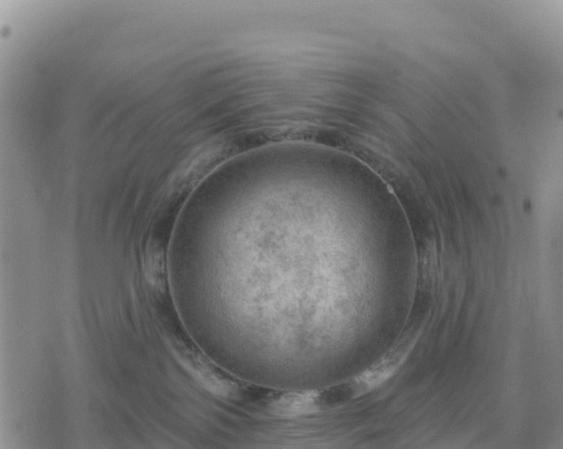 X0000074340138200609011637